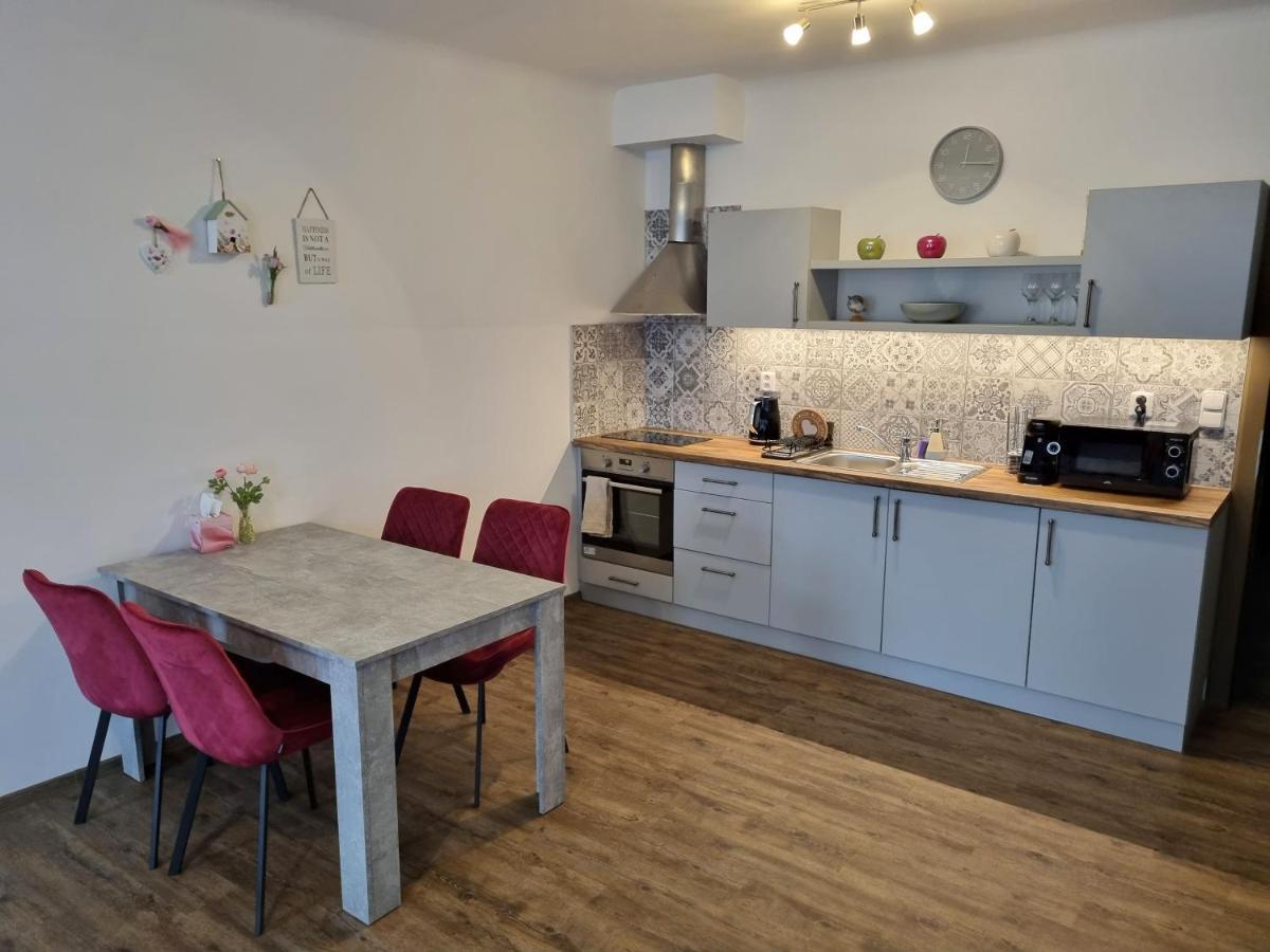 Velke Studio Na Velkem Namesti S Vybavenou Kuchyni Hradec Králové Exteriör bild